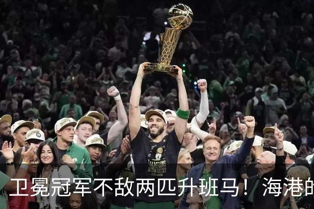 卫冕冠军不敌两匹升班马！海港的失利引发的深思