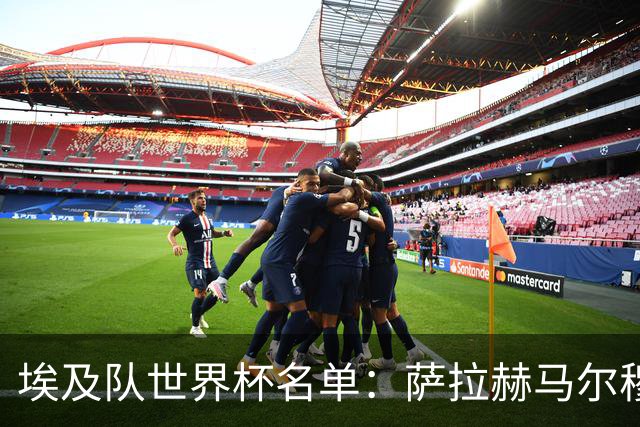 埃及队世界杯名单：萨拉赫马尔穆什领衔 首战踢比利时